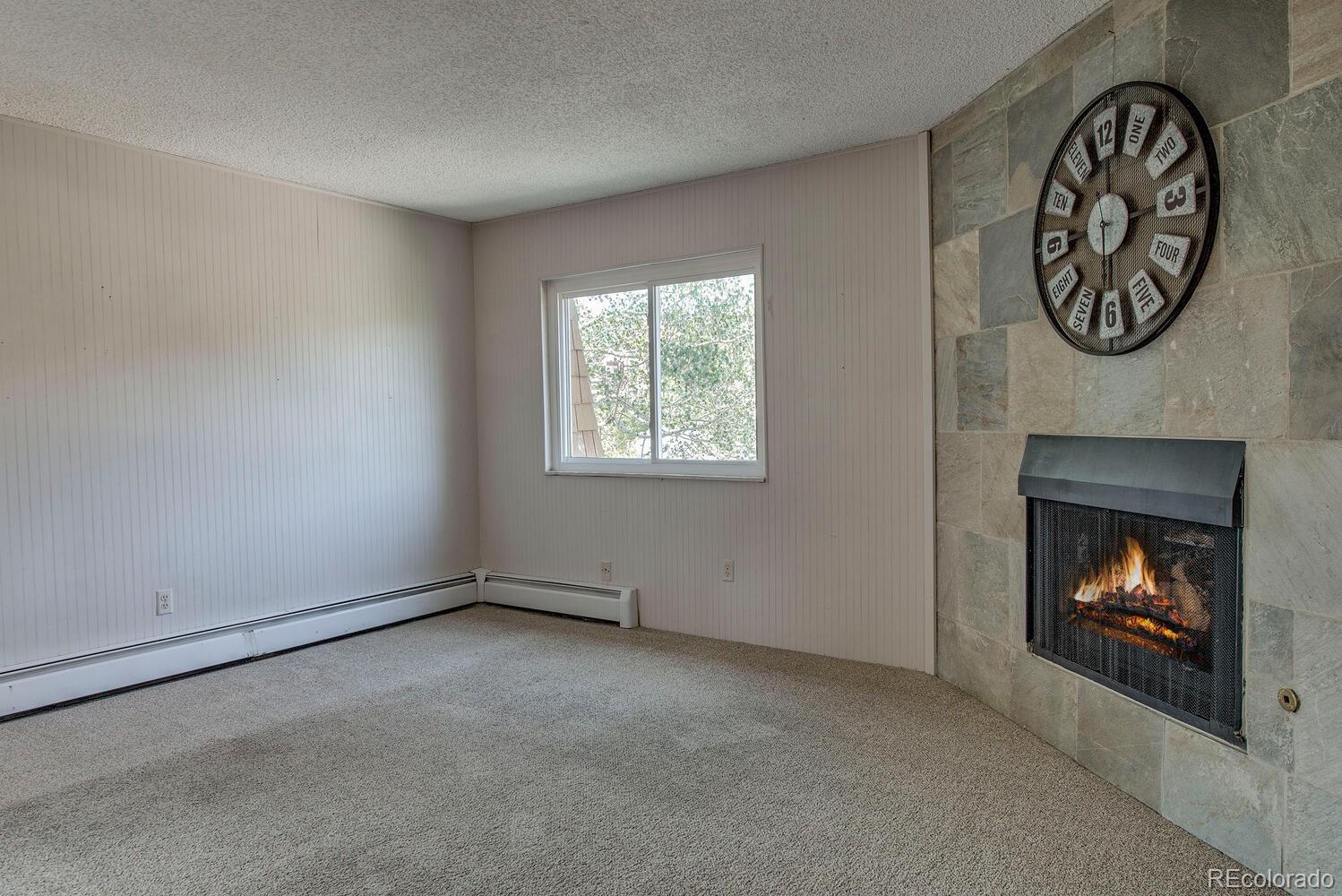 MLS Image #5 for 412 s main street 321,breckenridge, Colorado