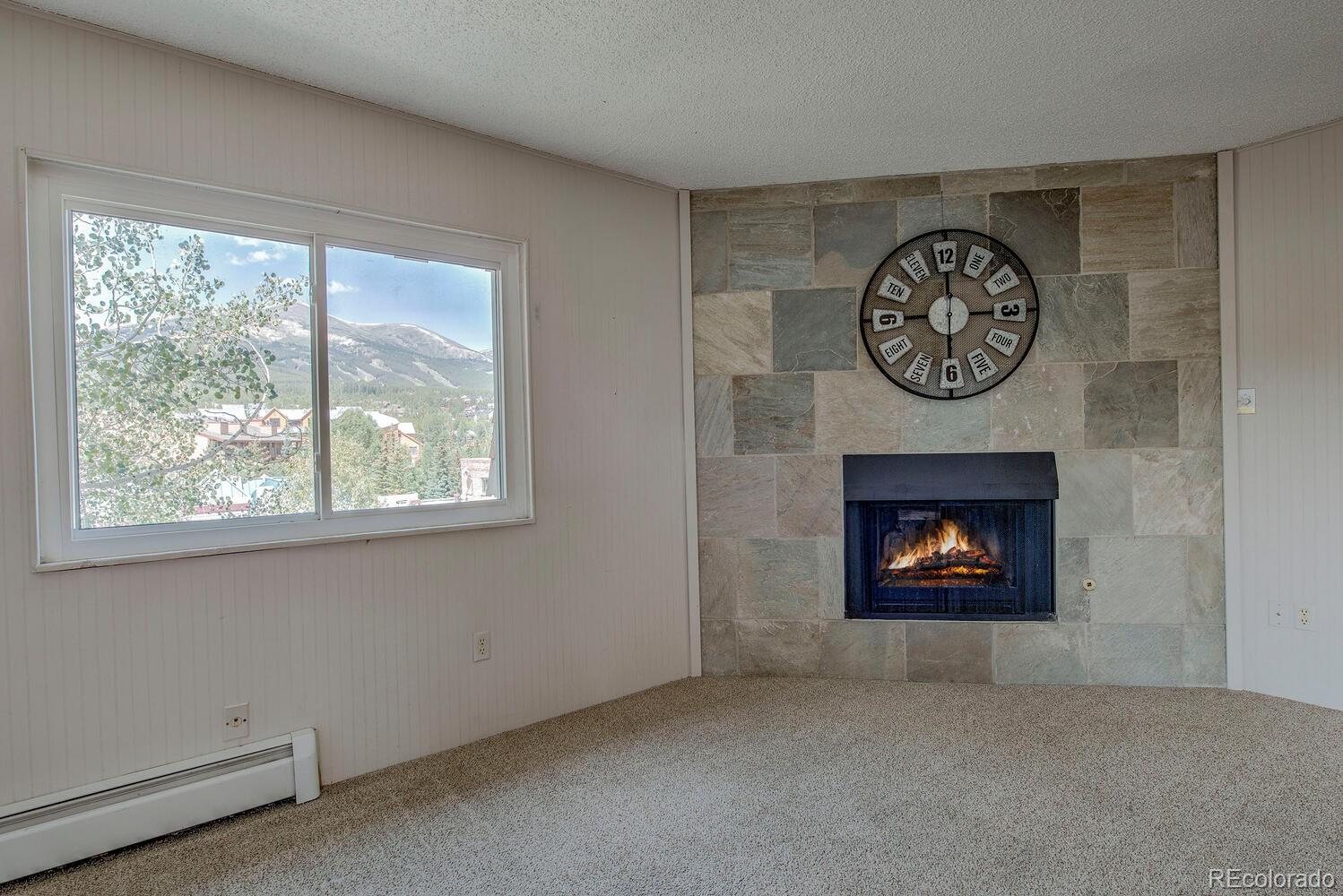 MLS Image #7 for 412 s main street 321,breckenridge, Colorado