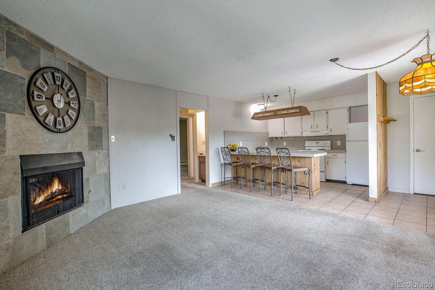 MLS Image #8 for 412 s main street 321,breckenridge, Colorado