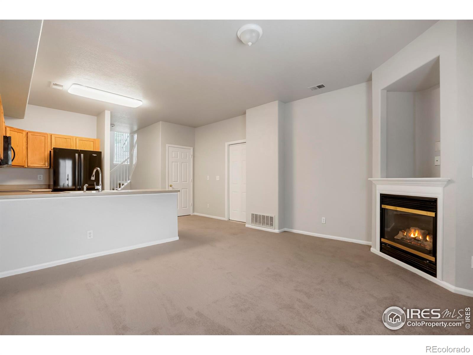 MLS Image #4 for 2143  coronado parkway,denver, Colorado