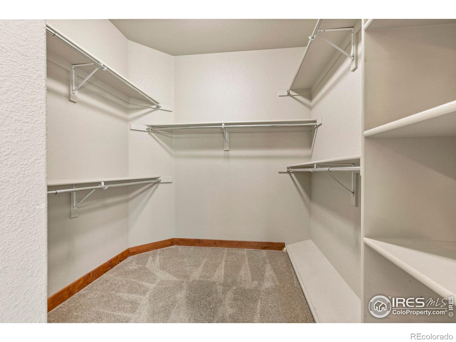 MLS Image #18 for 1540  tennessee street,loveland, Colorado