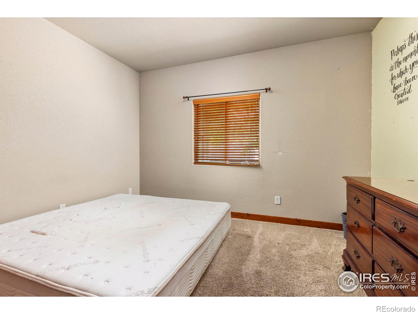 MLS Image #21 for 1540  tennessee street,loveland, Colorado