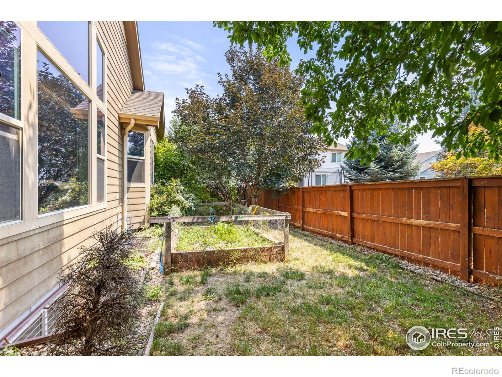 MLS Image #28 for 1540  tennessee street,loveland, Colorado