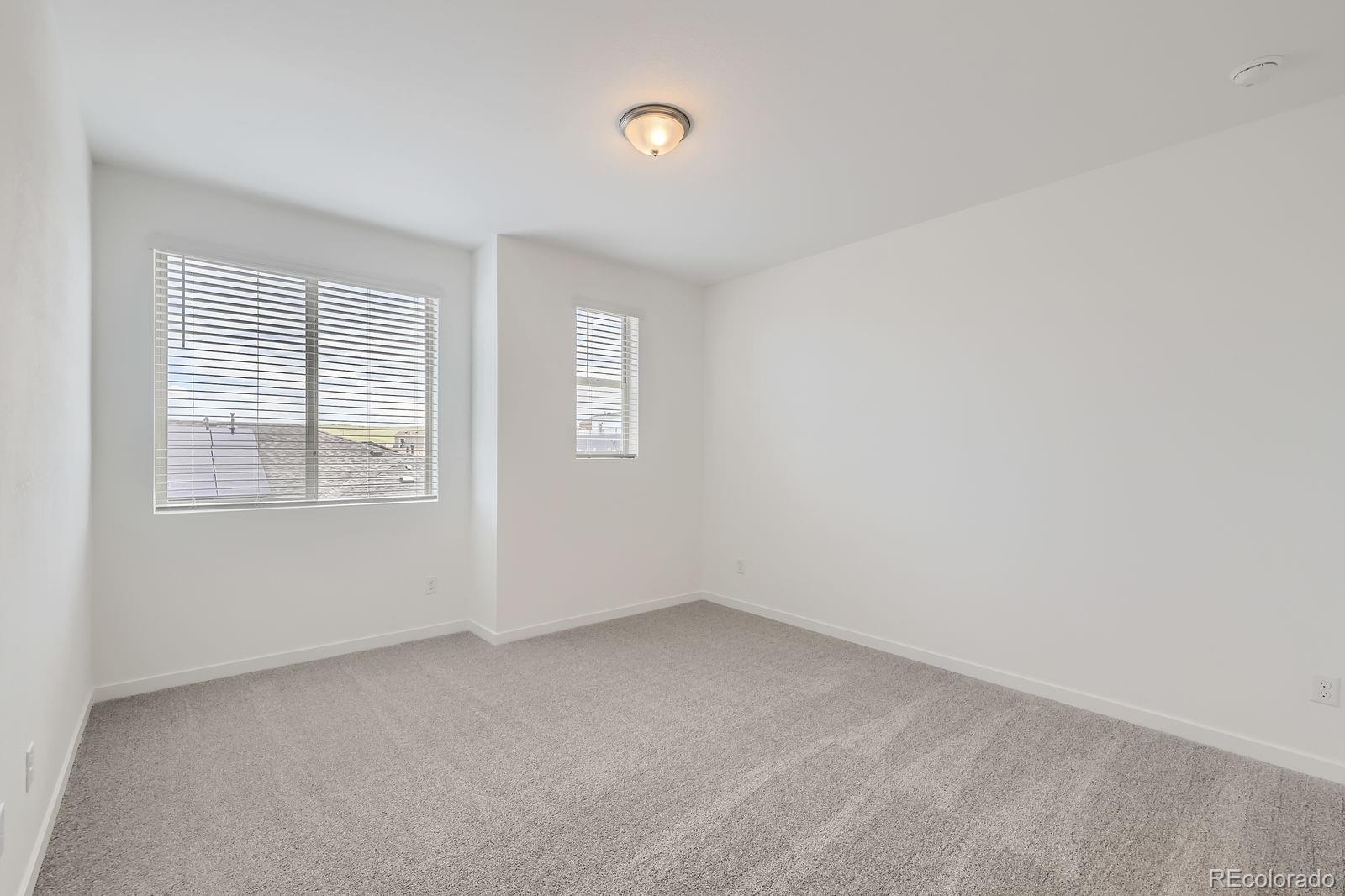 MLS Image #11 for 8323  mount kataka street,littleton, Colorado