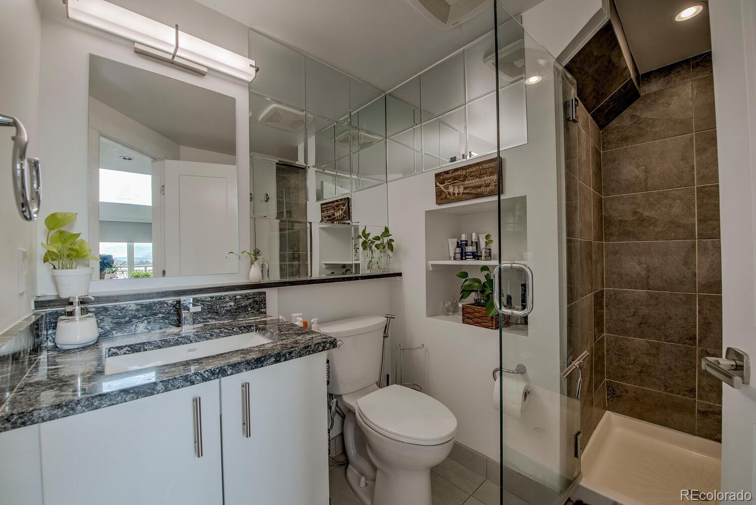 MLS Image #10 for 100  basecamp way,frisco, Colorado