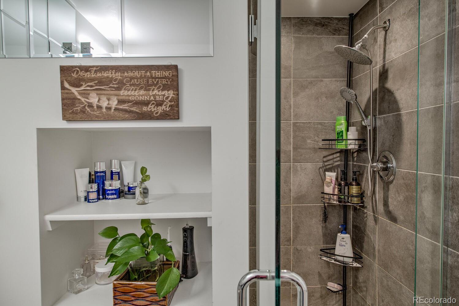 MLS Image #13 for 100  basecamp way,frisco, Colorado