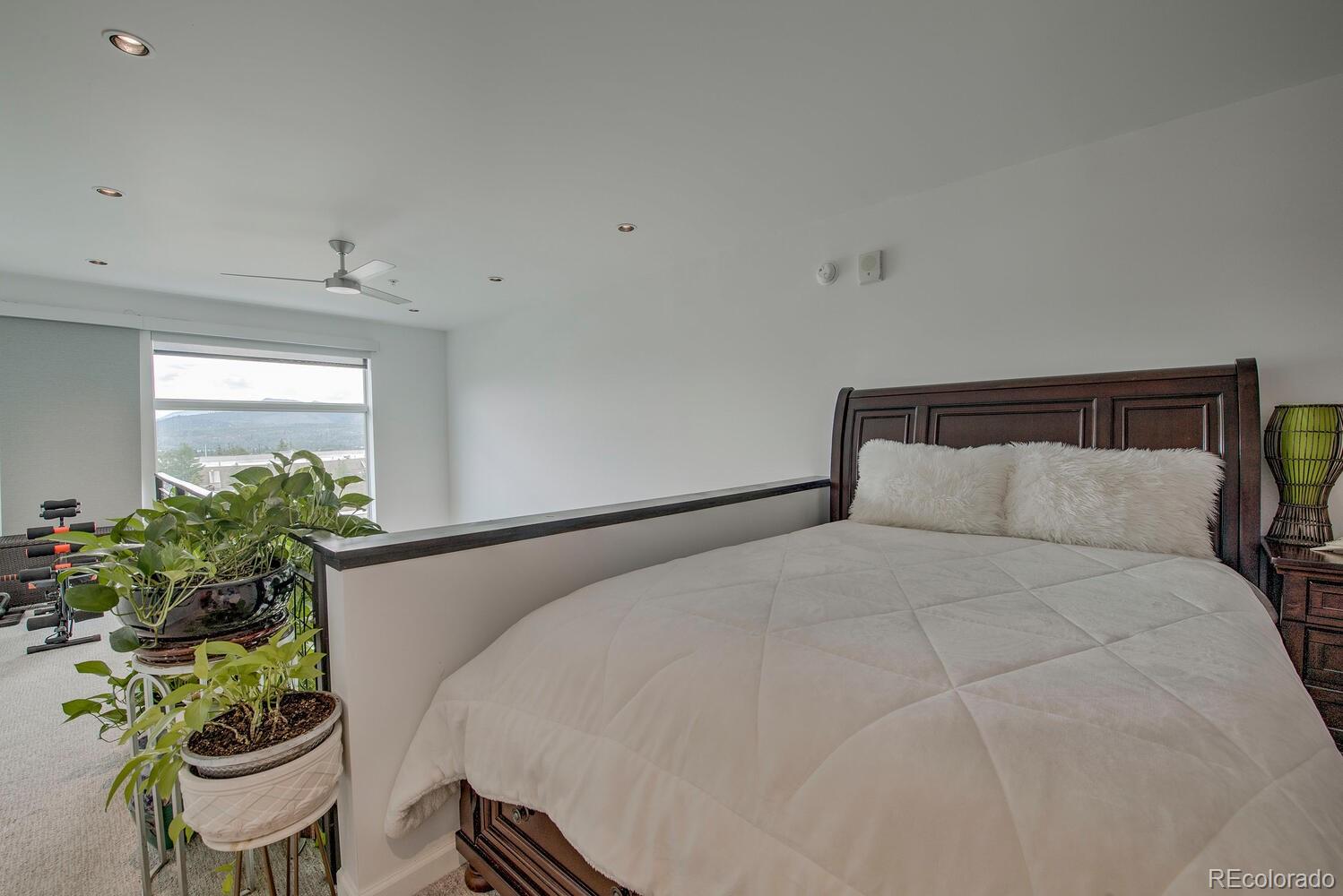 MLS Image #20 for 100  basecamp way,frisco, Colorado