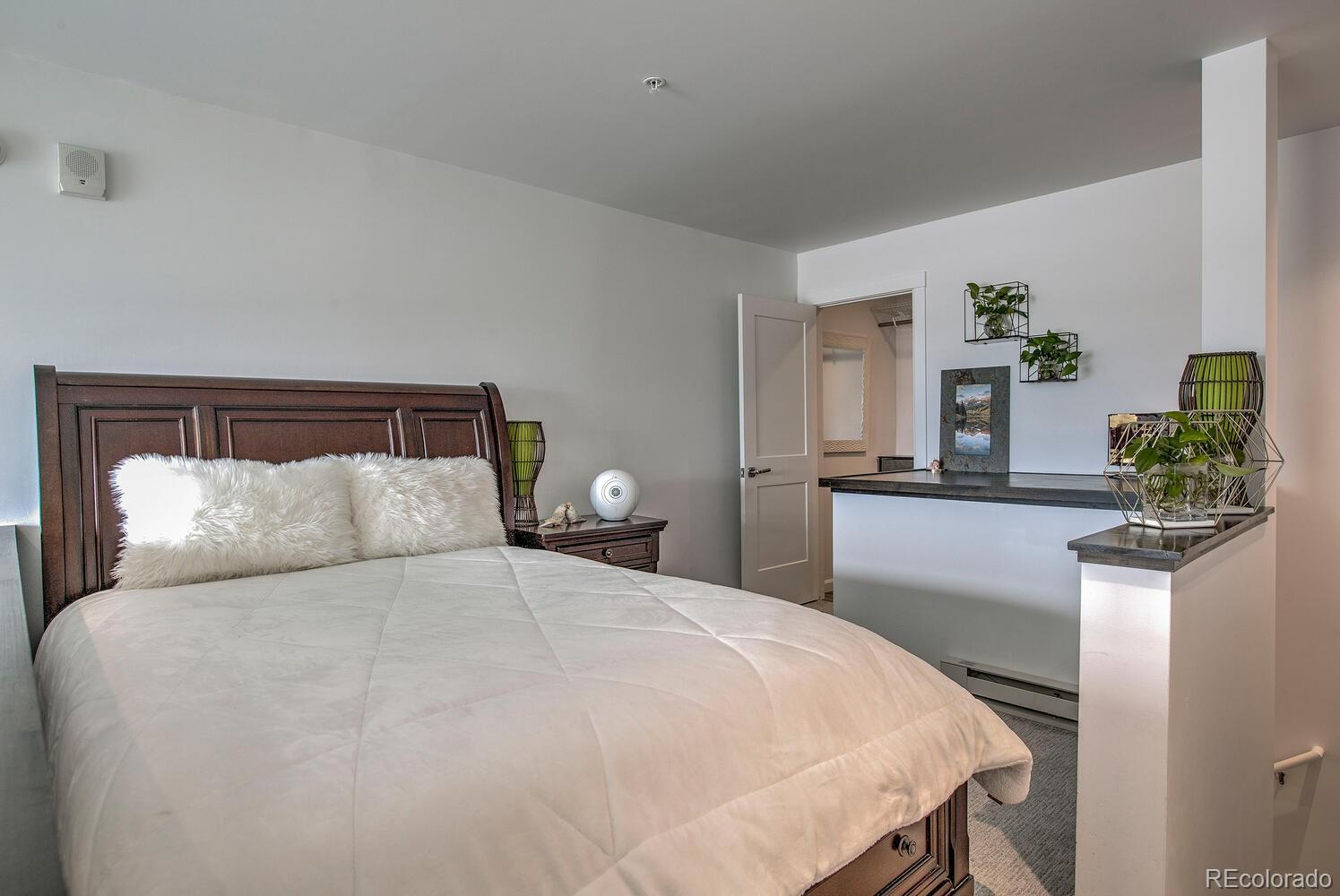 MLS Image #22 for 100  basecamp way,frisco, Colorado