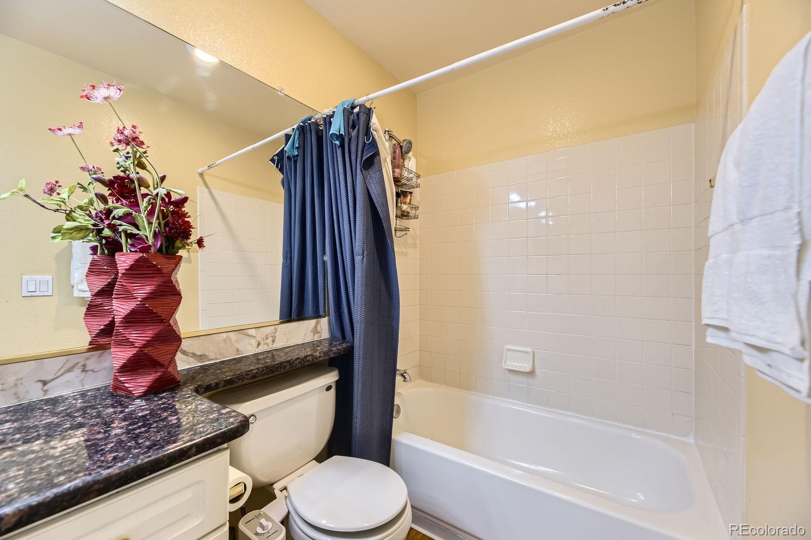 MLS Image #20 for 5329  morning glory place,highlands ranch, Colorado