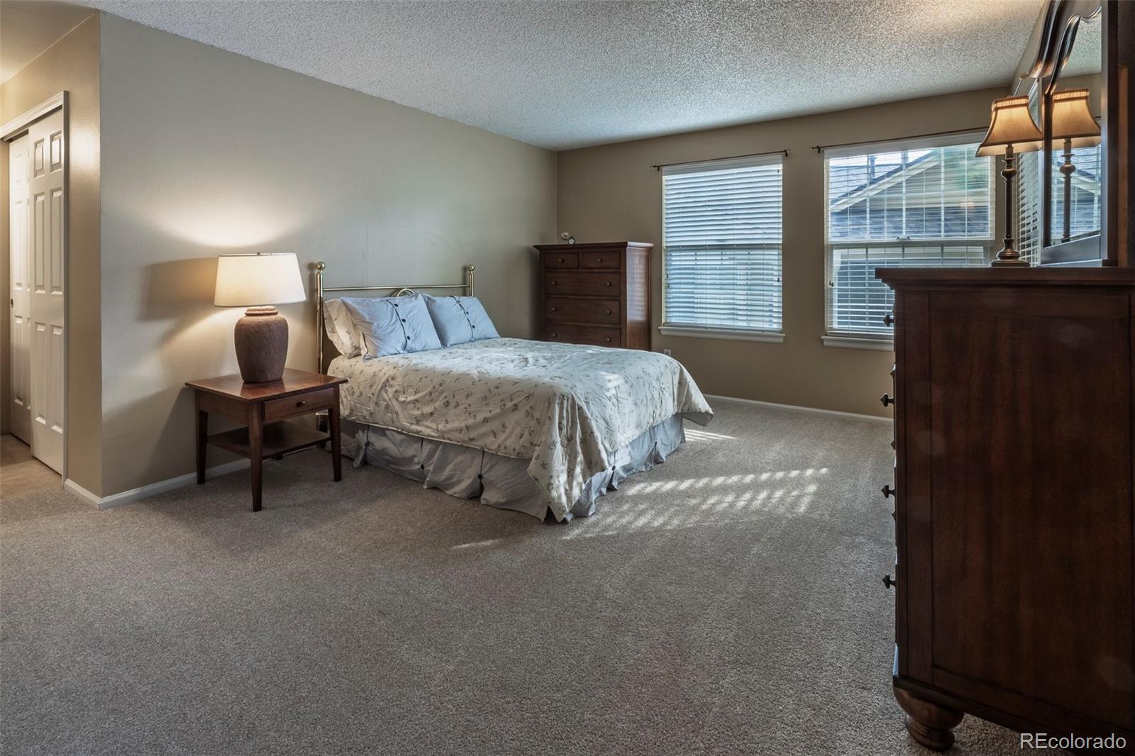 MLS Image #18 for 8227 s high court,centennial, Colorado
