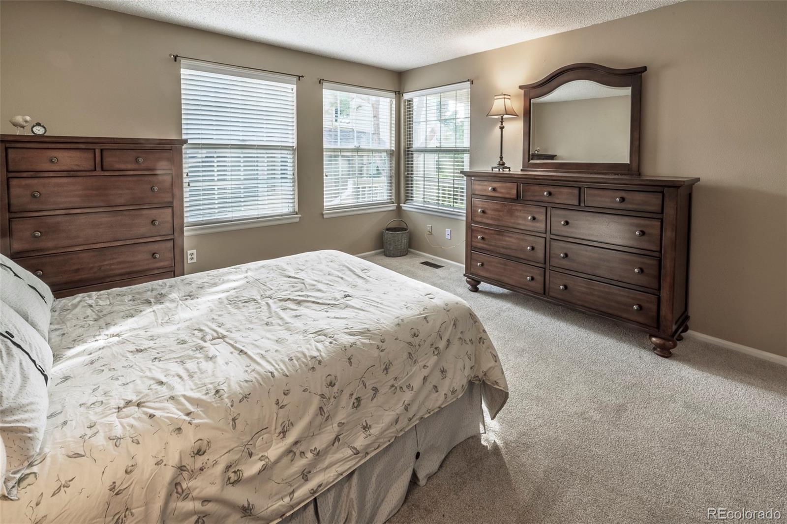 MLS Image #25 for 8227 s high court,centennial, Colorado