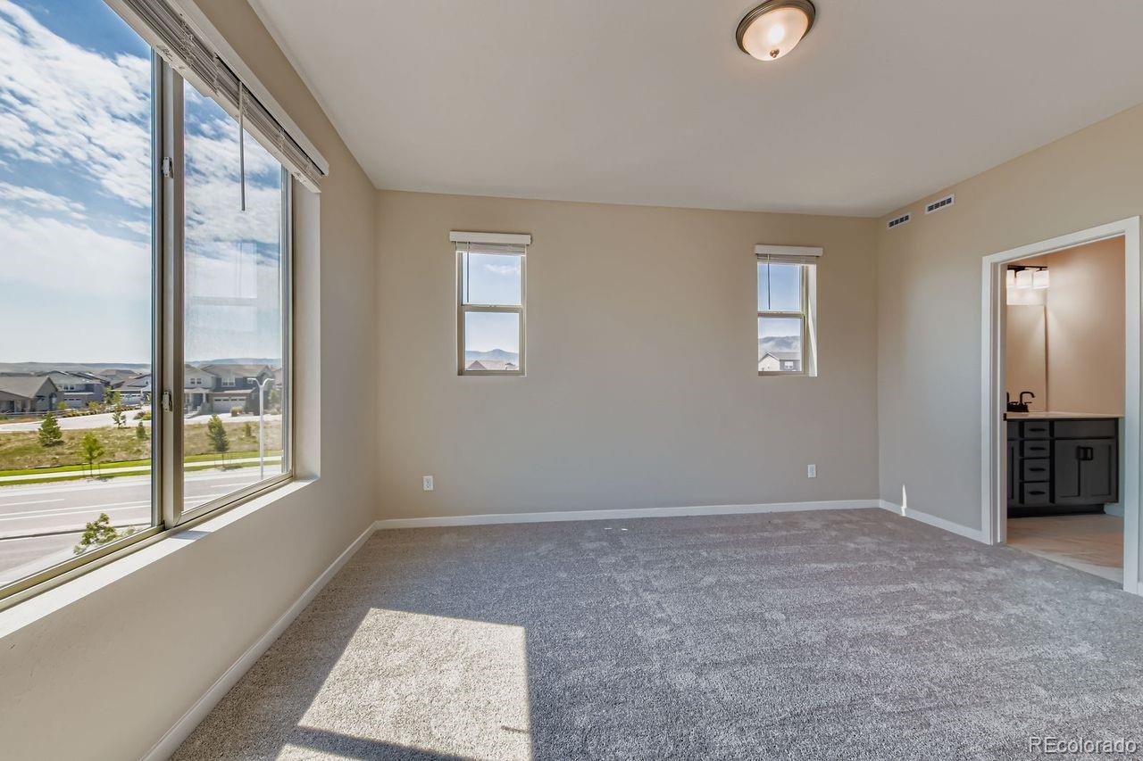 MLS Image #21 for 9623  browns peak circle,littleton, Colorado