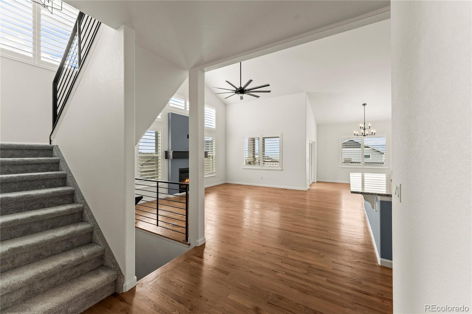 MLS Image #9 for 5719  adkisson place,colorado springs, Colorado
