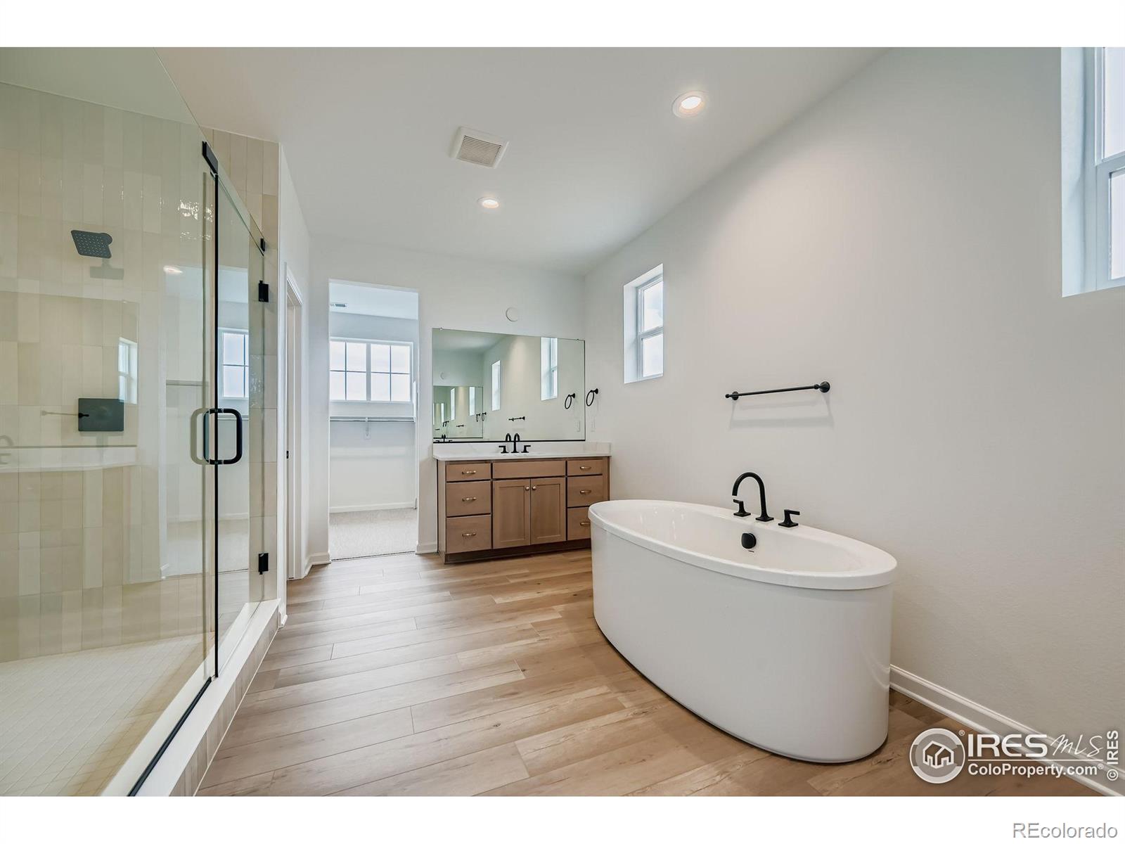 MLS Image #13 for 3991  wheathead place,timnath, Colorado