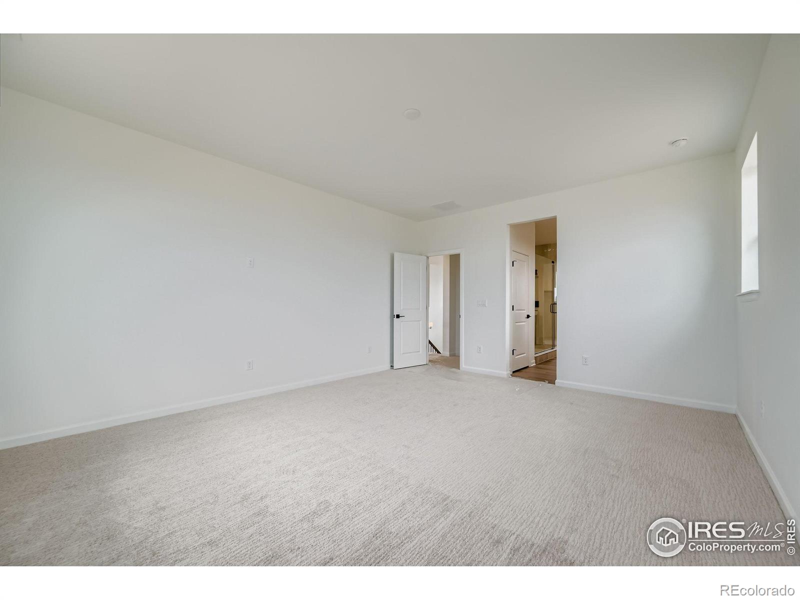 MLS Image #14 for 3991  wheathead place,timnath, Colorado