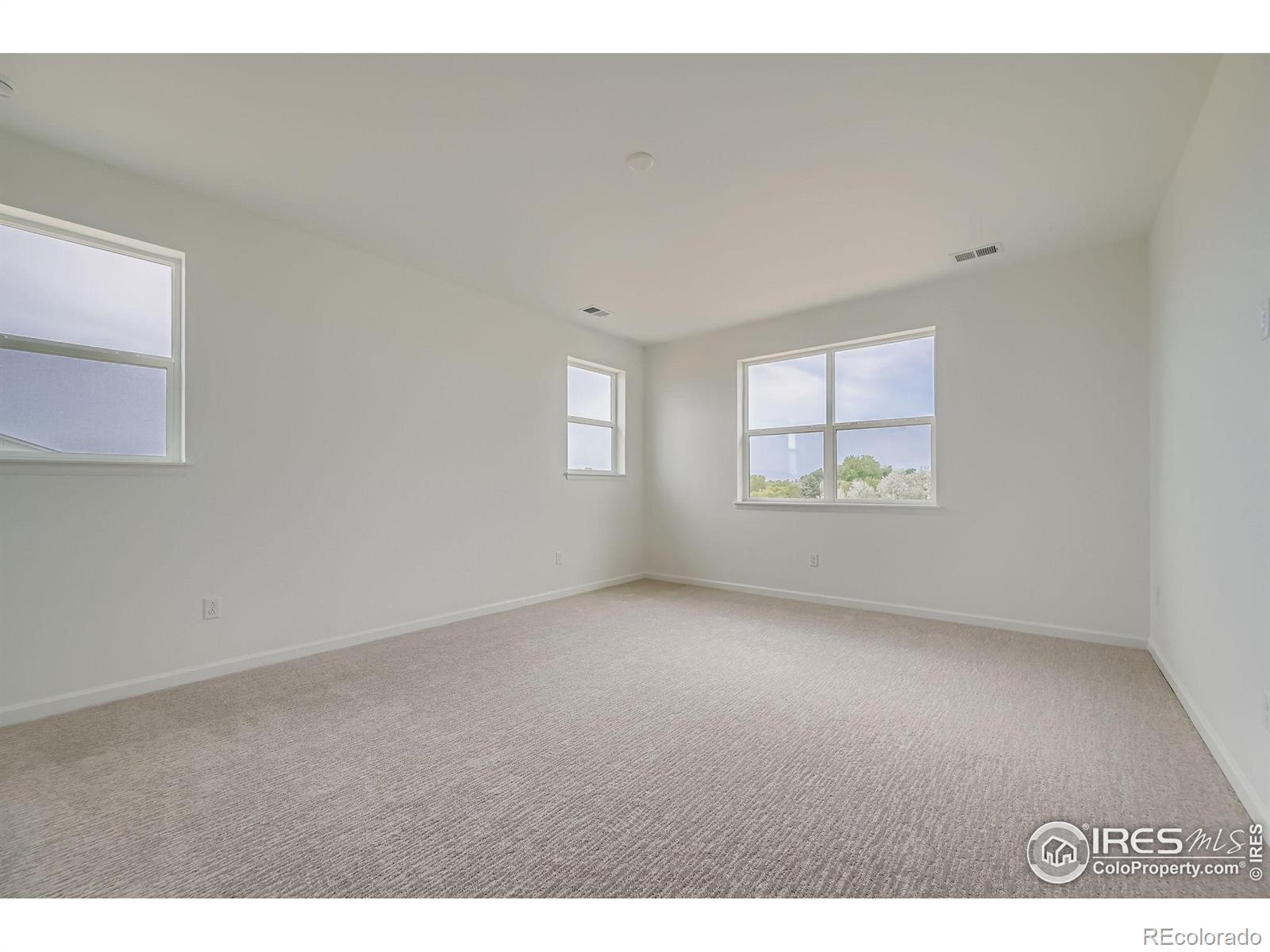 MLS Image #18 for 3991  wheathead place,timnath, Colorado