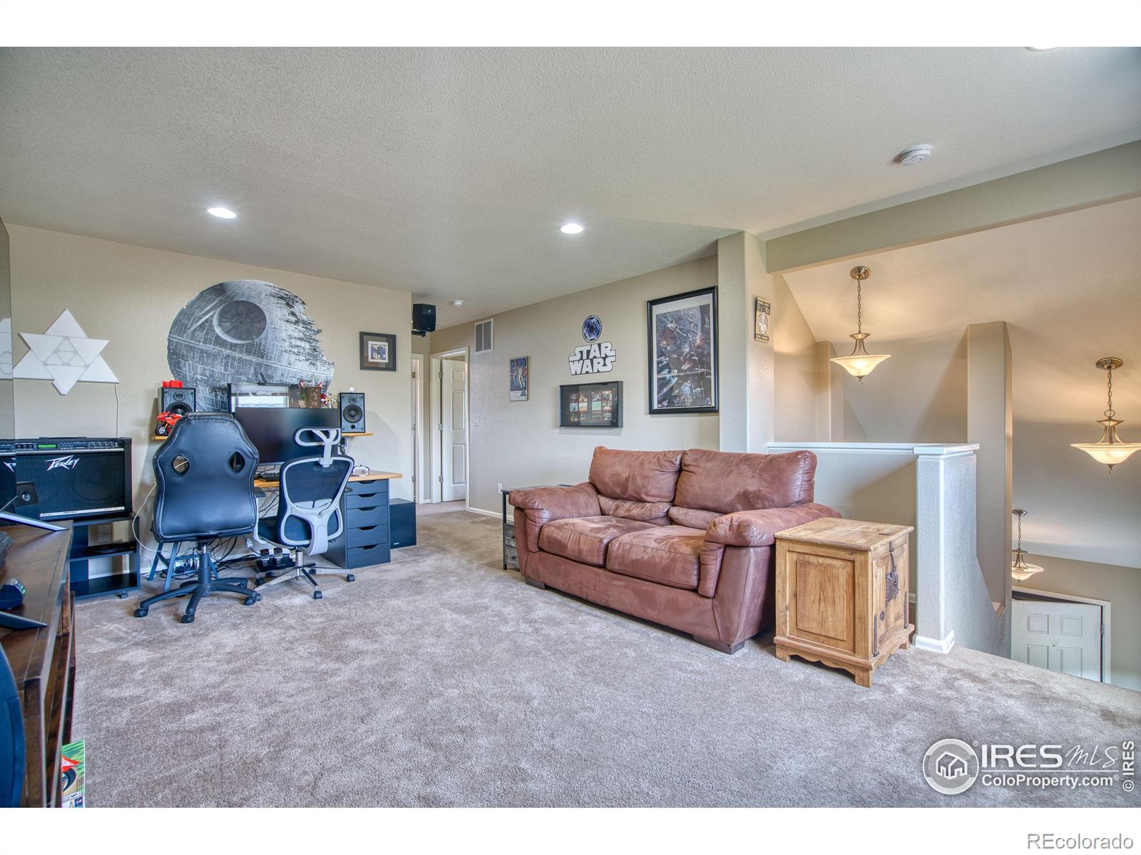 MLS Image #19 for 11484 e 111th avenue,commerce city, Colorado