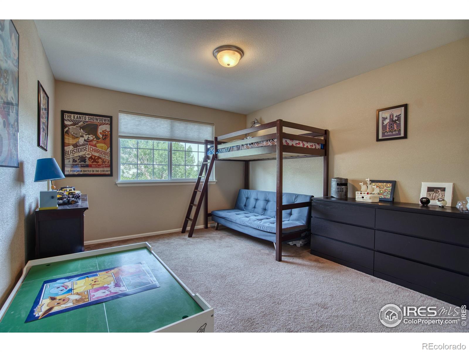 MLS Image #22 for 11484 e 111th avenue,commerce city, Colorado