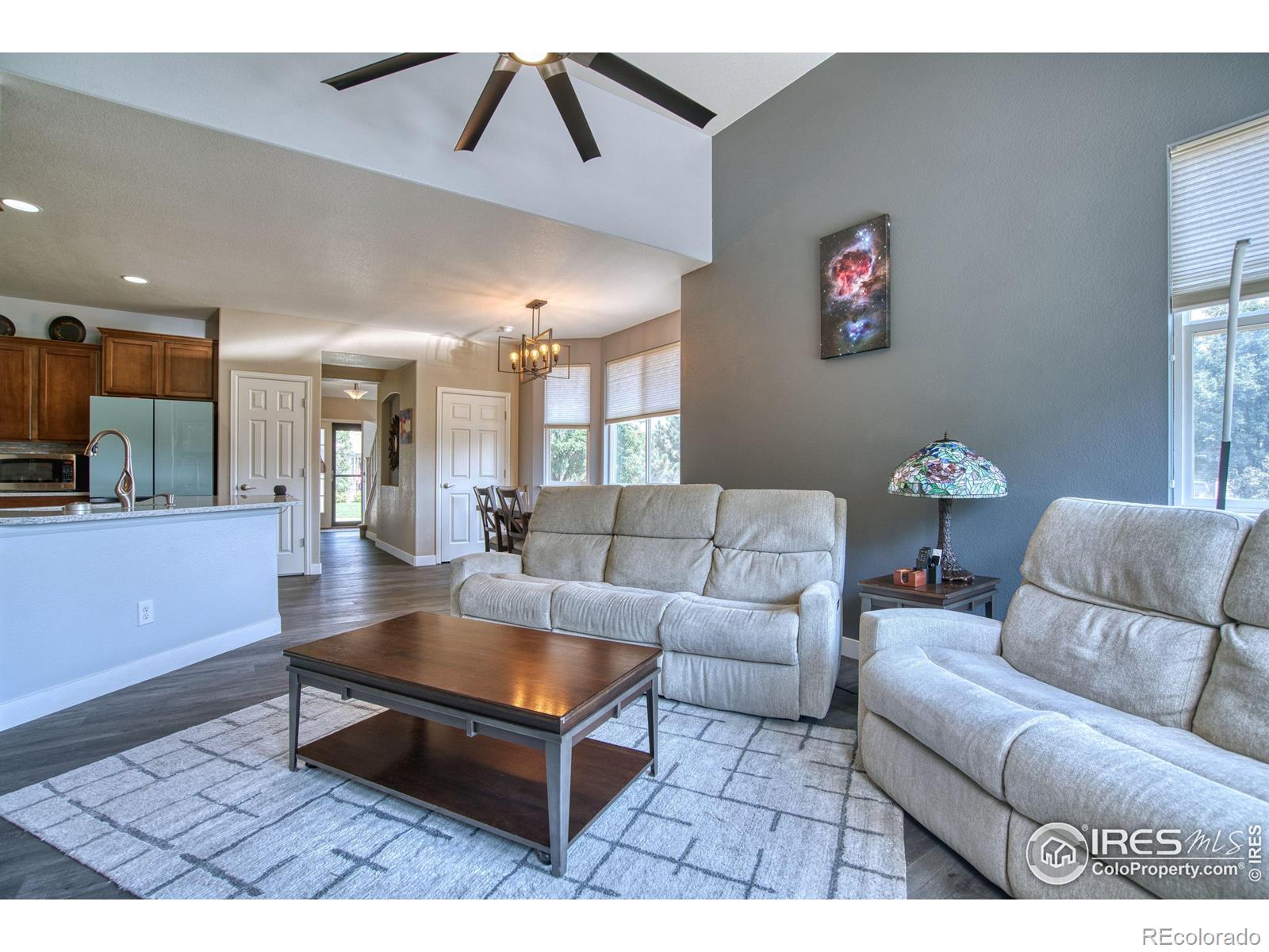 MLS Image #8 for 11484 e 111th avenue,commerce city, Colorado