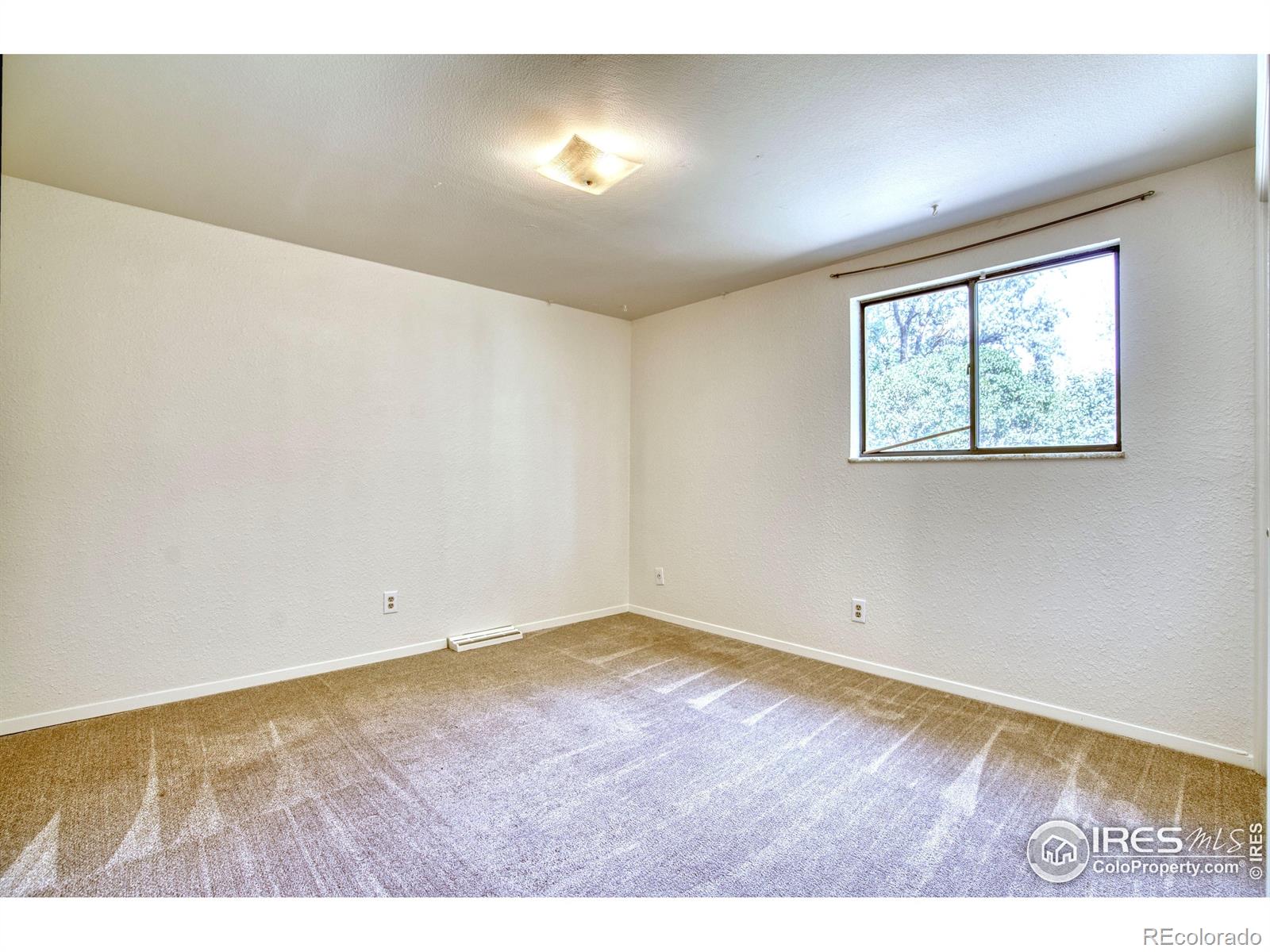 MLS Image #13 for 1233  ulmus drive,loveland, Colorado