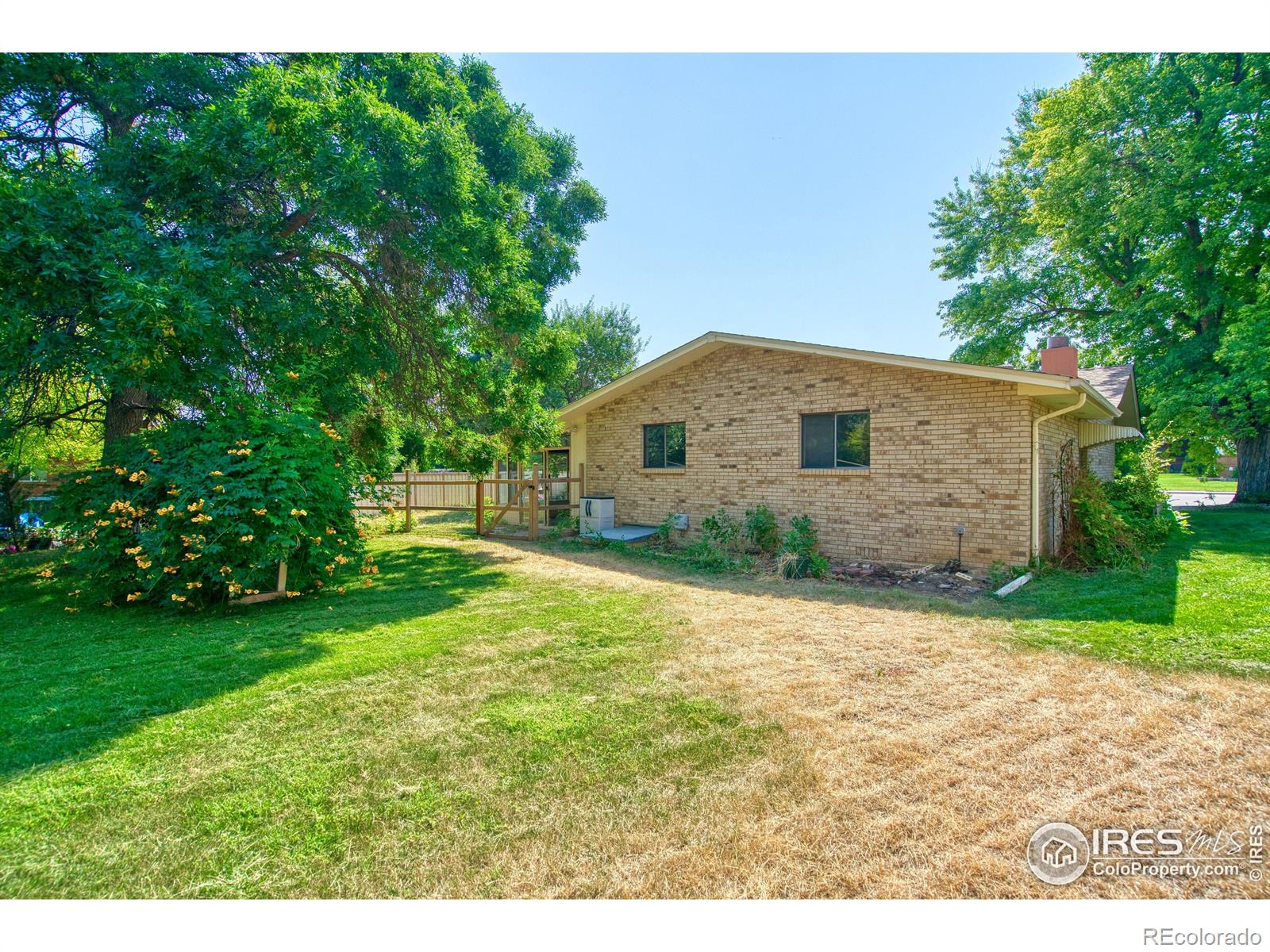 MLS Image #17 for 1233  ulmus drive,loveland, Colorado
