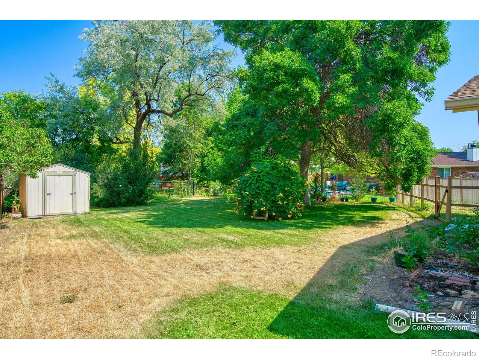 MLS Image #19 for 1233  ulmus drive,loveland, Colorado