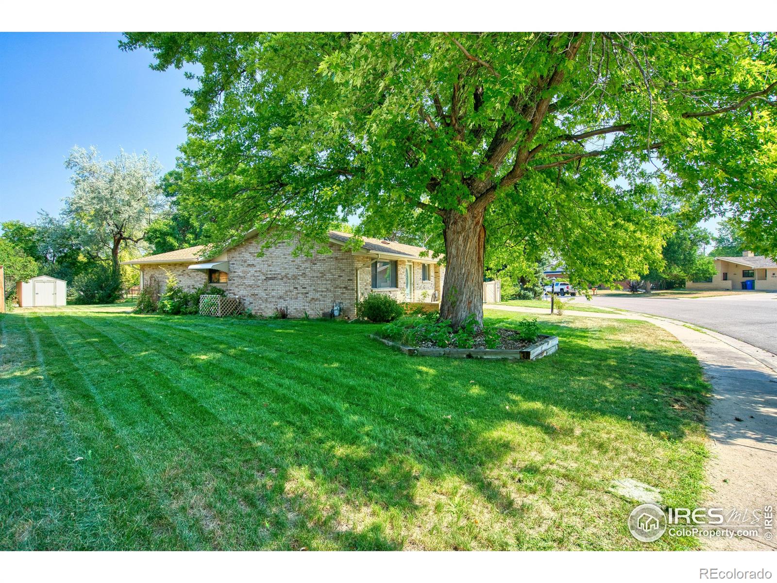 MLS Image #23 for 1233  ulmus drive,loveland, Colorado