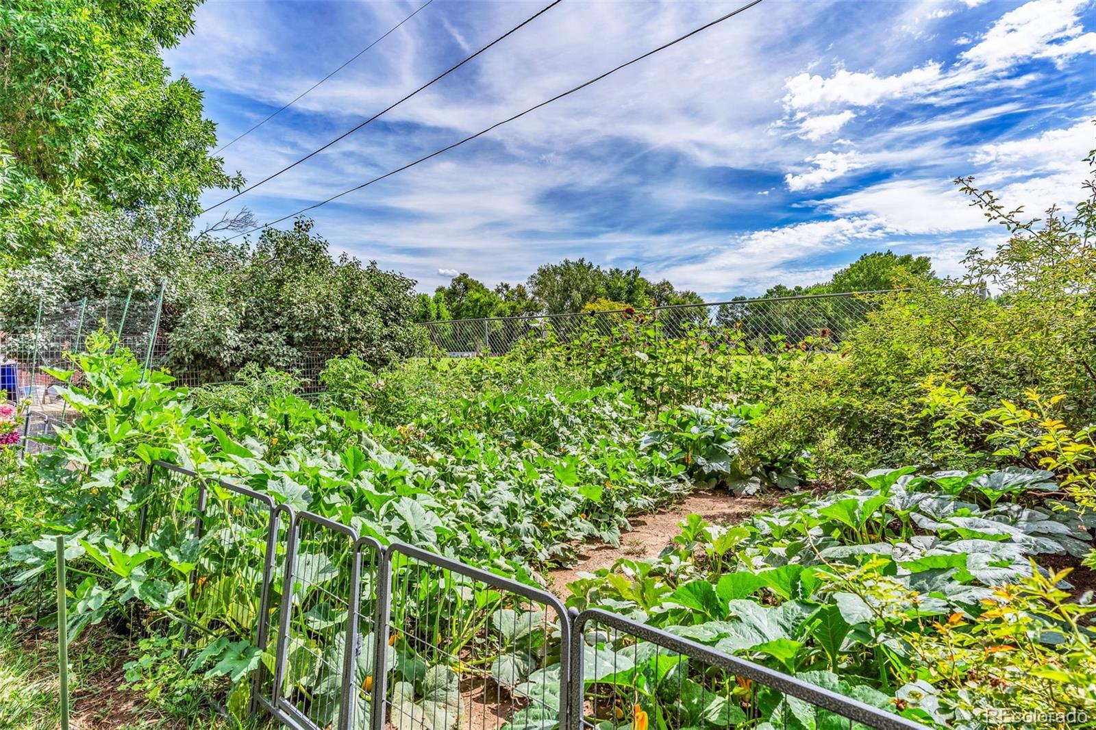 MLS Image #32 for 1304  flora drive,canon city, Colorado