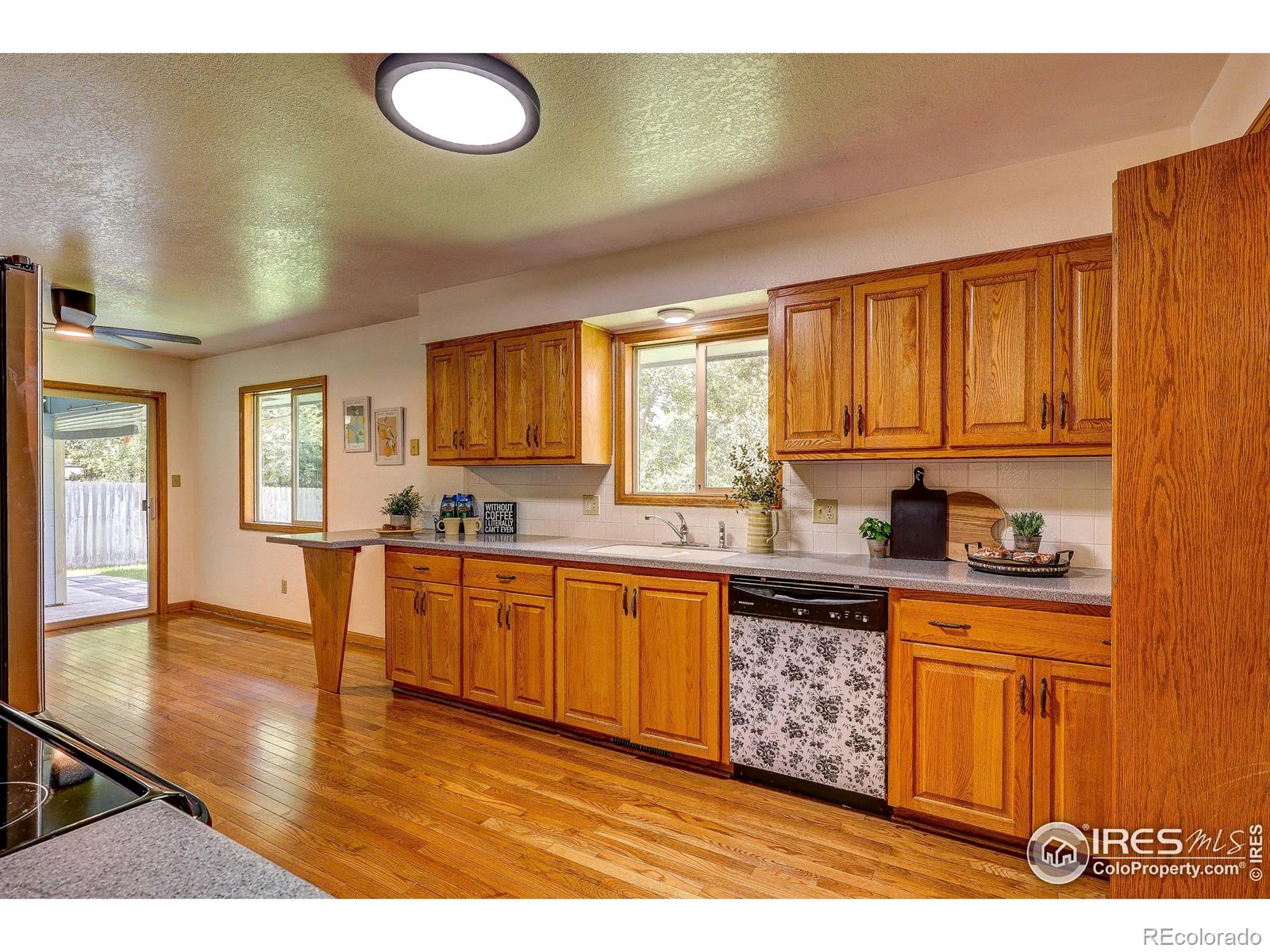 MLS Image #5 for 801  clifford avenue,fort collins, Colorado