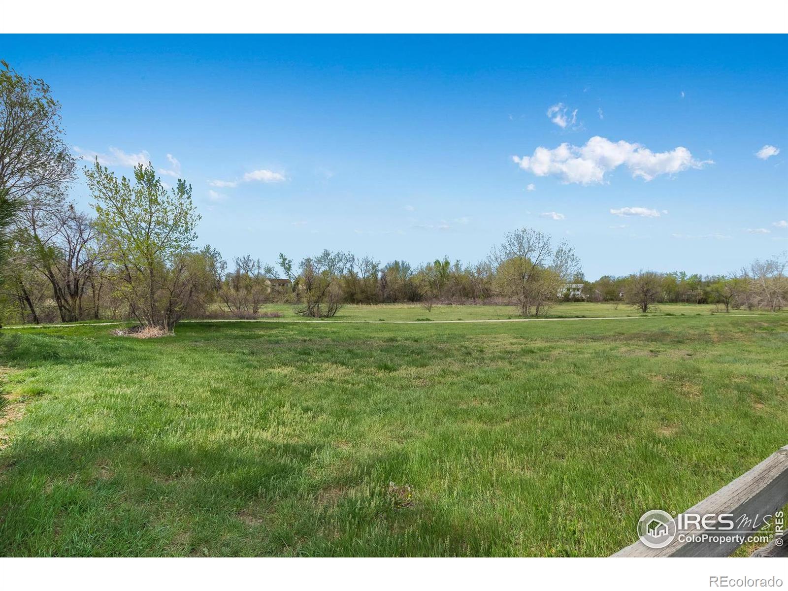 MLS Image #3 for 4637  winona place,broomfield, Colorado