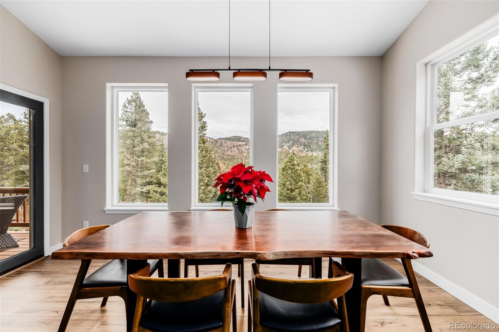 MLS Image #11 for 556  crystola court,woodland park, Colorado