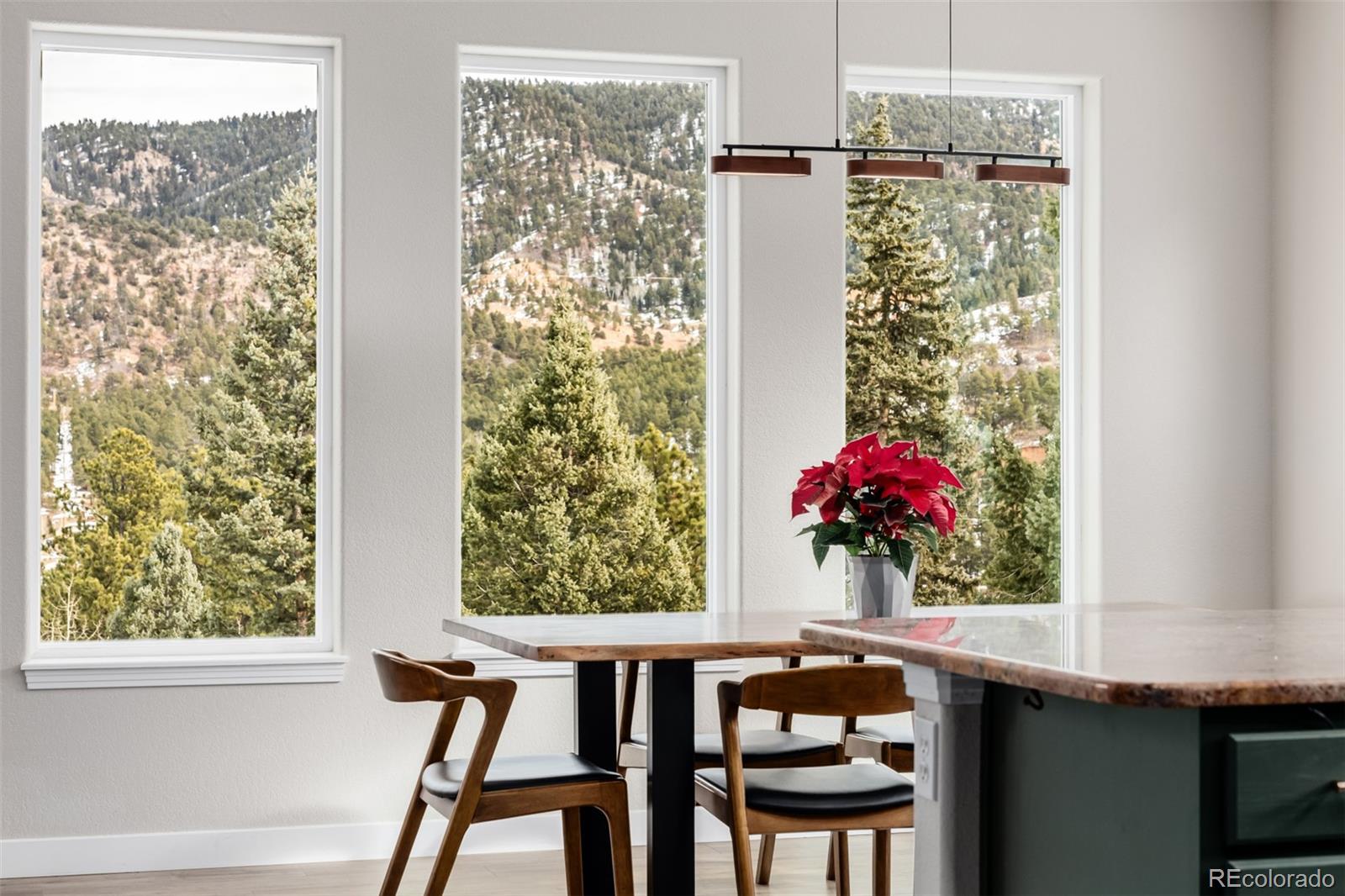 MLS Image #12 for 556  crystola court,woodland park, Colorado