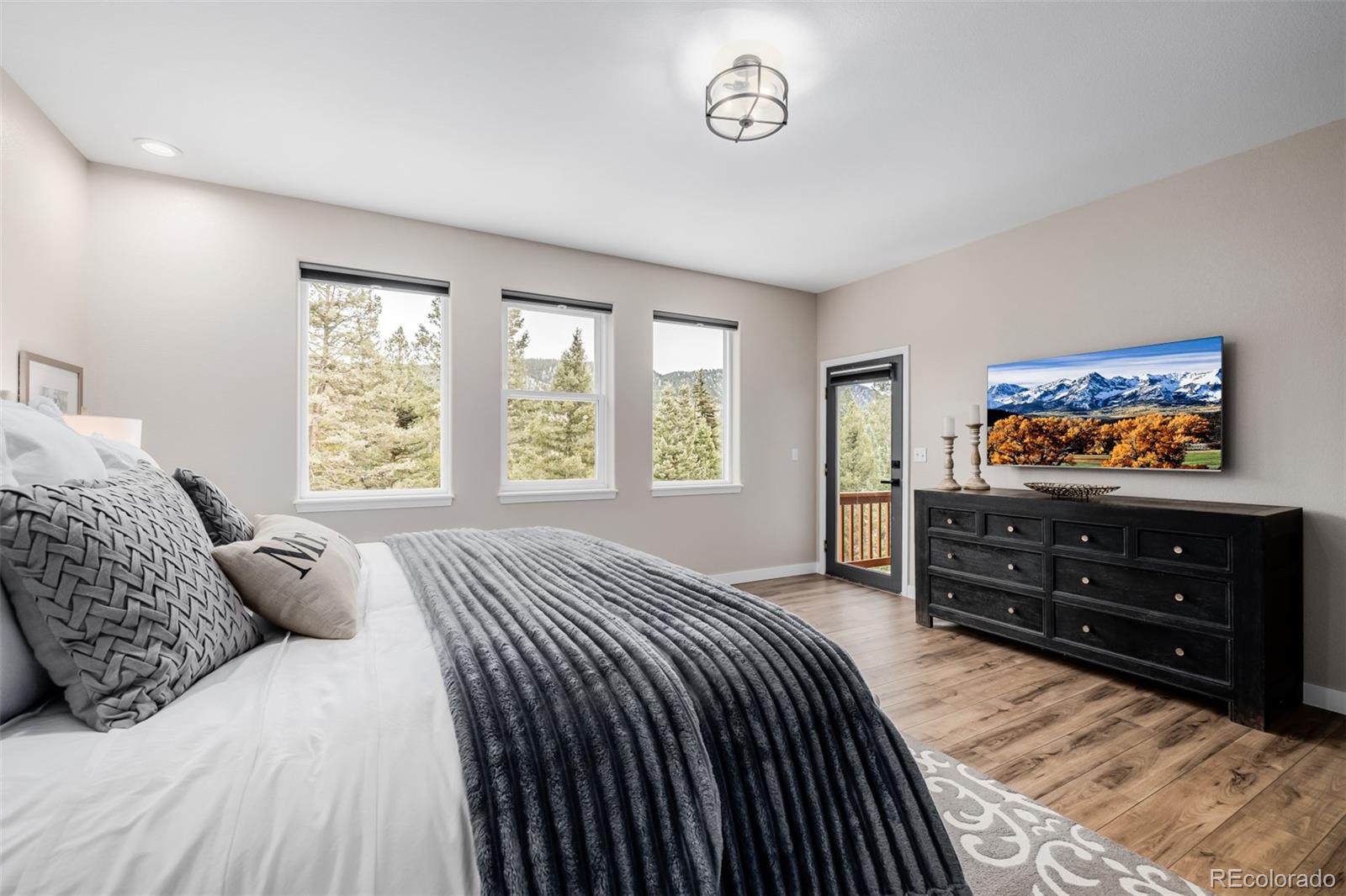 MLS Image #18 for 556  crystola court,woodland park, Colorado