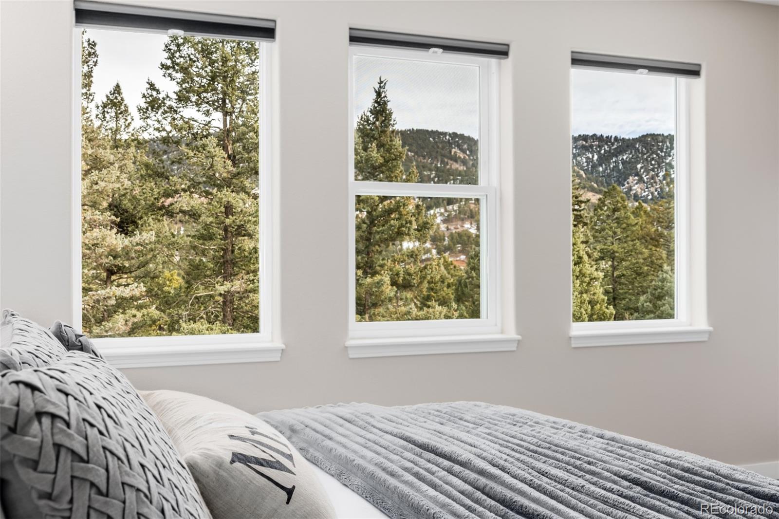 MLS Image #20 for 556  crystola court,woodland park, Colorado
