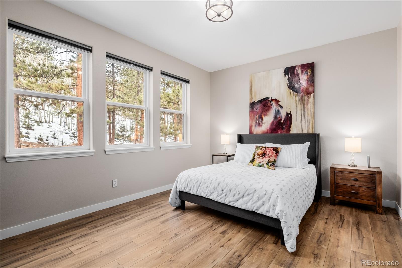 MLS Image #22 for 556  crystola court,woodland park, Colorado