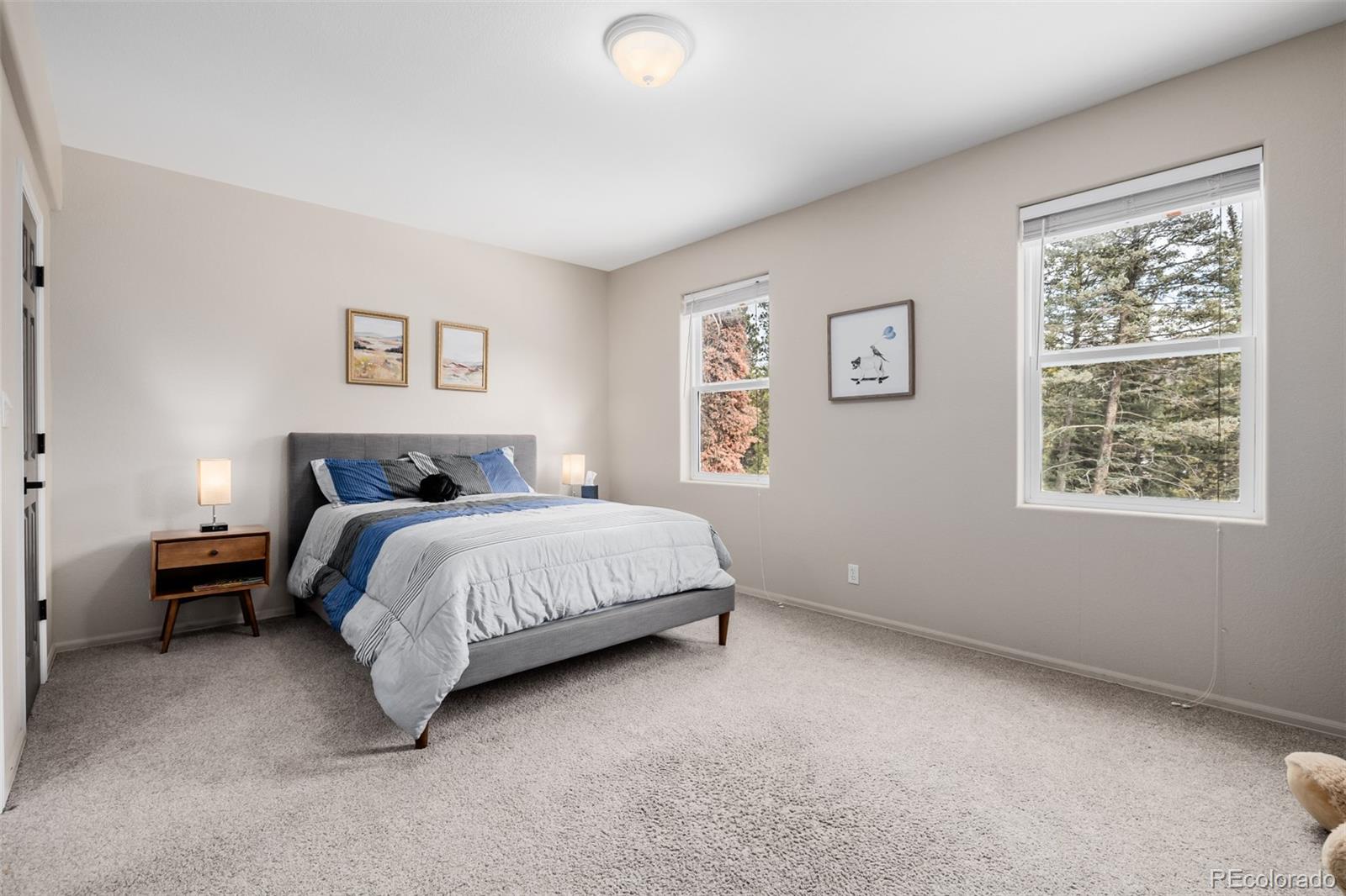 MLS Image #28 for 556  crystola court,woodland park, Colorado