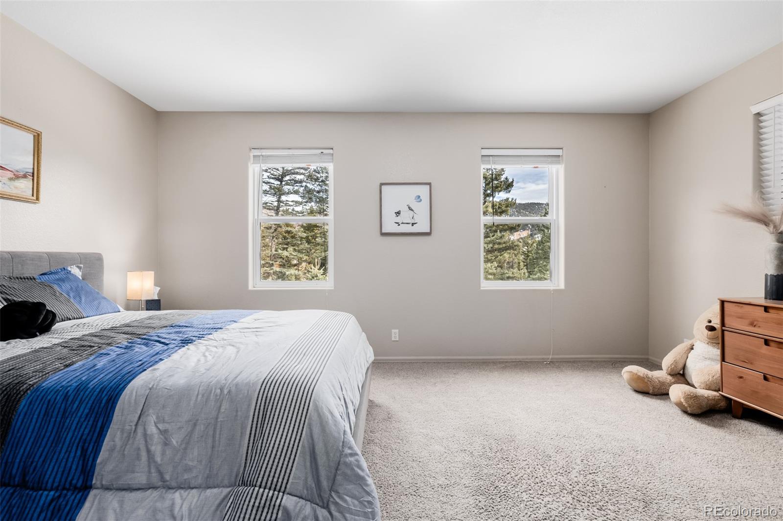 MLS Image #29 for 556  crystola court,woodland park, Colorado