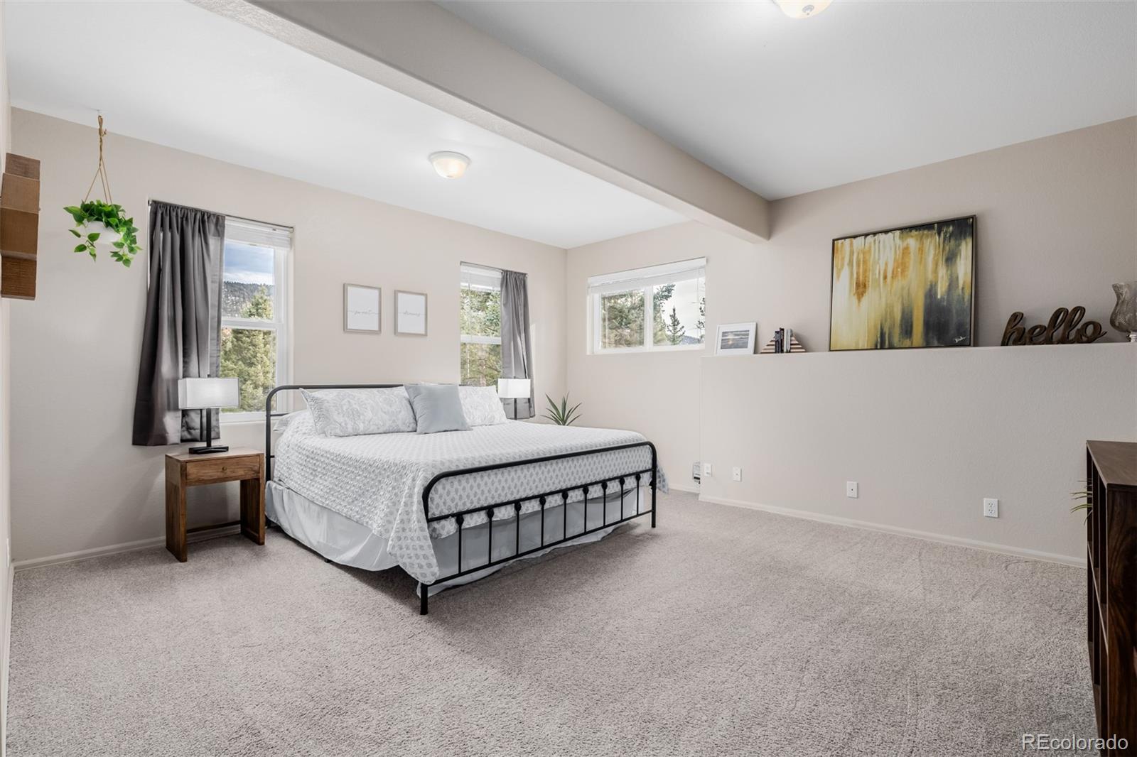 MLS Image #30 for 556  crystola court,woodland park, Colorado