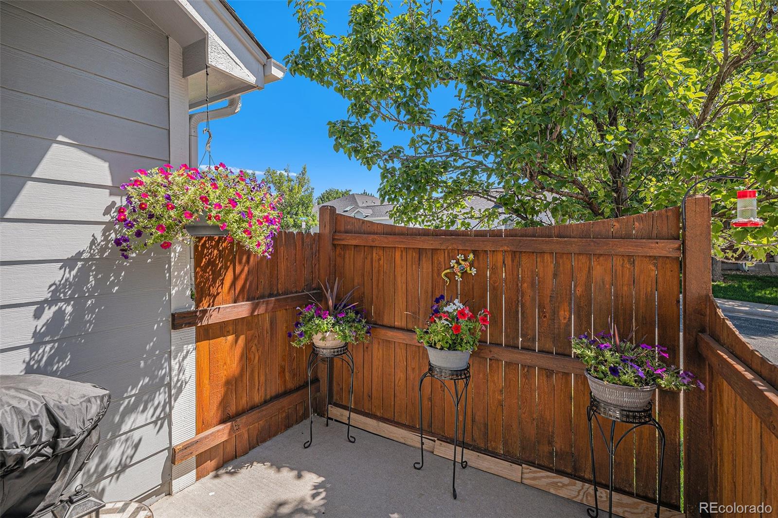 MLS Image #10 for 18390 e colgate place,aurora, Colorado