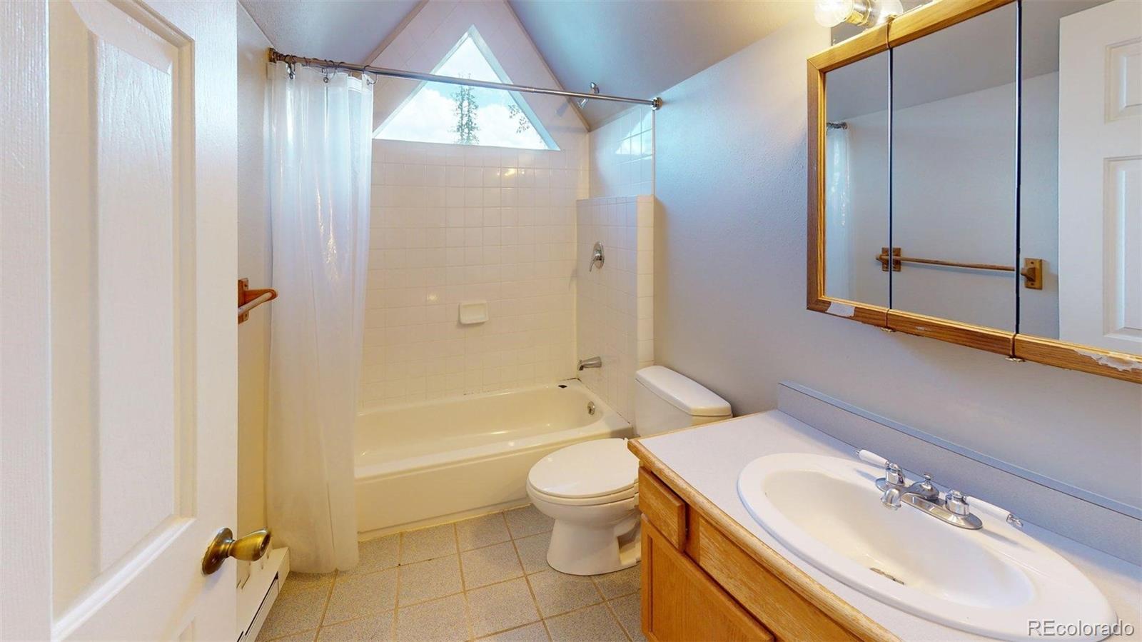 MLS Image #15 for 225 n oak street,alma, Colorado