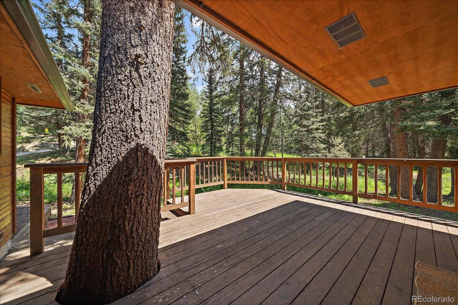MLS Image #17 for 28192  shadow mountain drive,conifer, Colorado