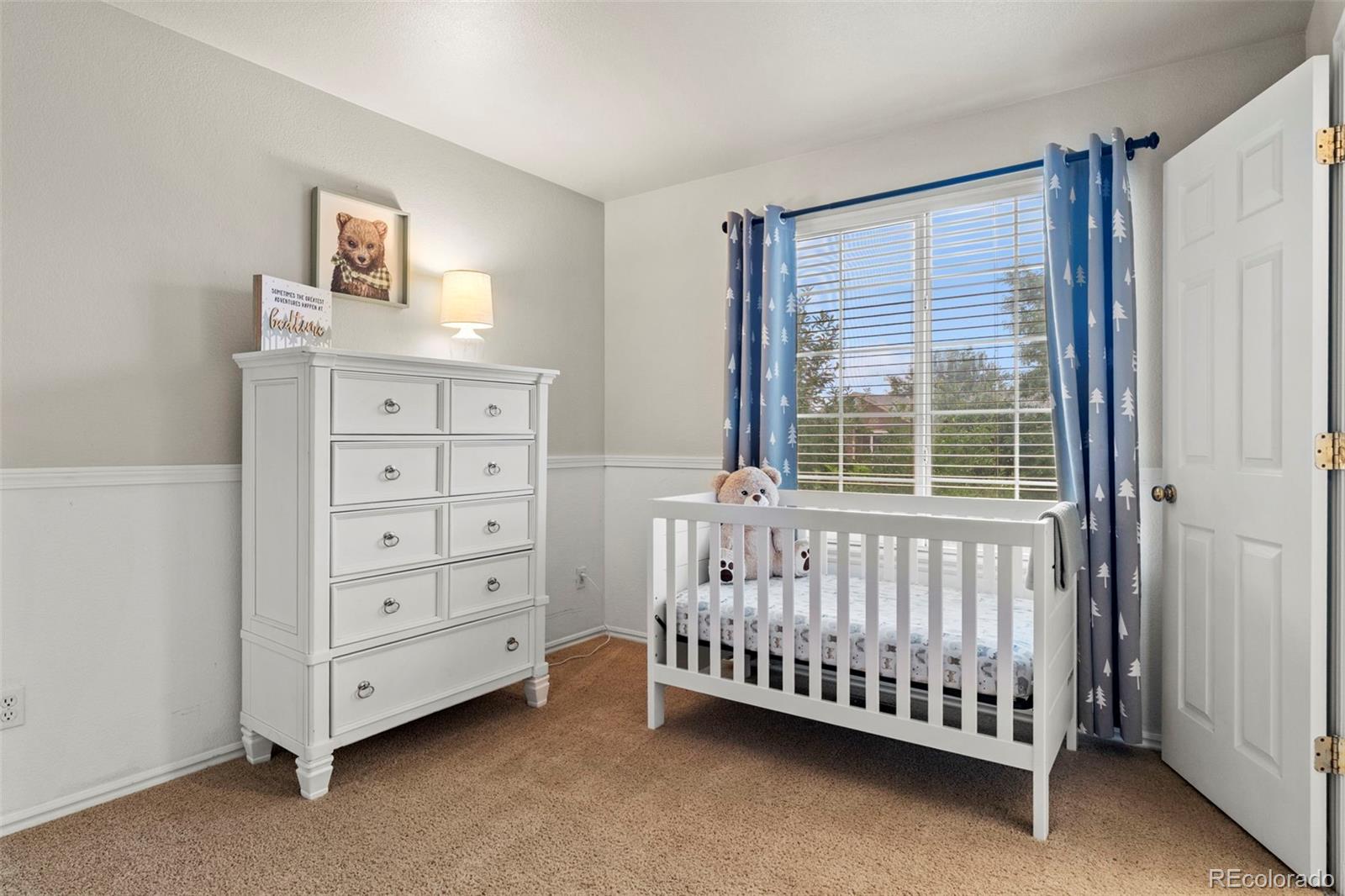 MLS Image #16 for 9386  wolfe street,highlands ranch, Colorado