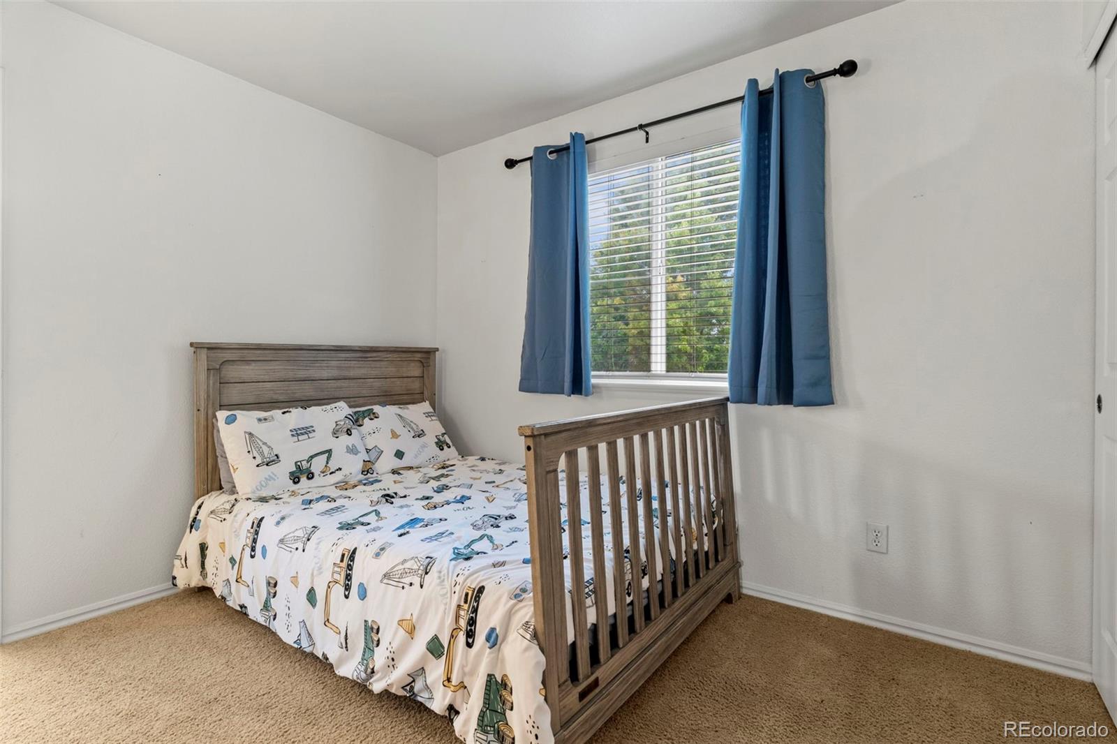 MLS Image #19 for 9386  wolfe street,highlands ranch, Colorado