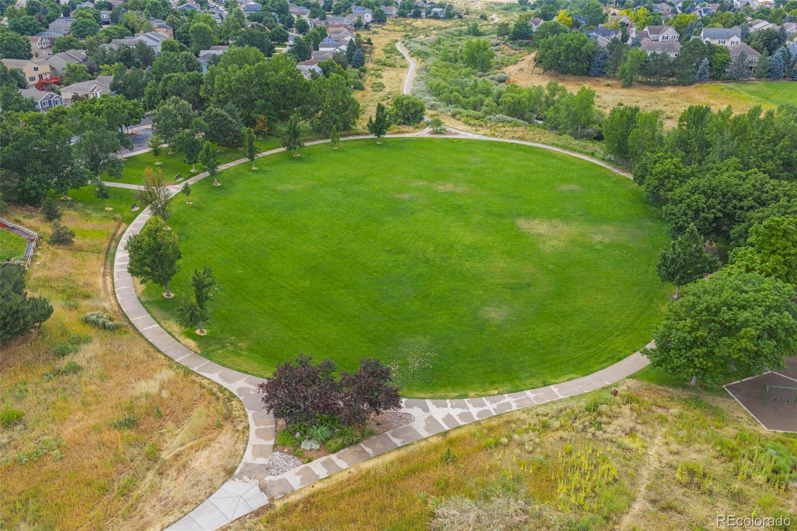MLS Image #36 for 9386  wolfe street,highlands ranch, Colorado
