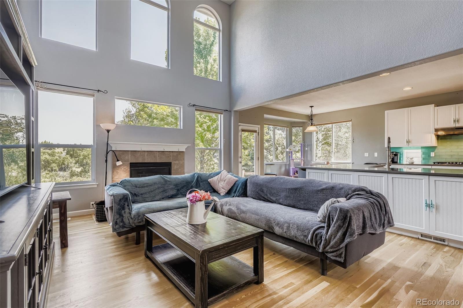 MLS Image #2 for 22675 e river chase way,parker, Colorado
