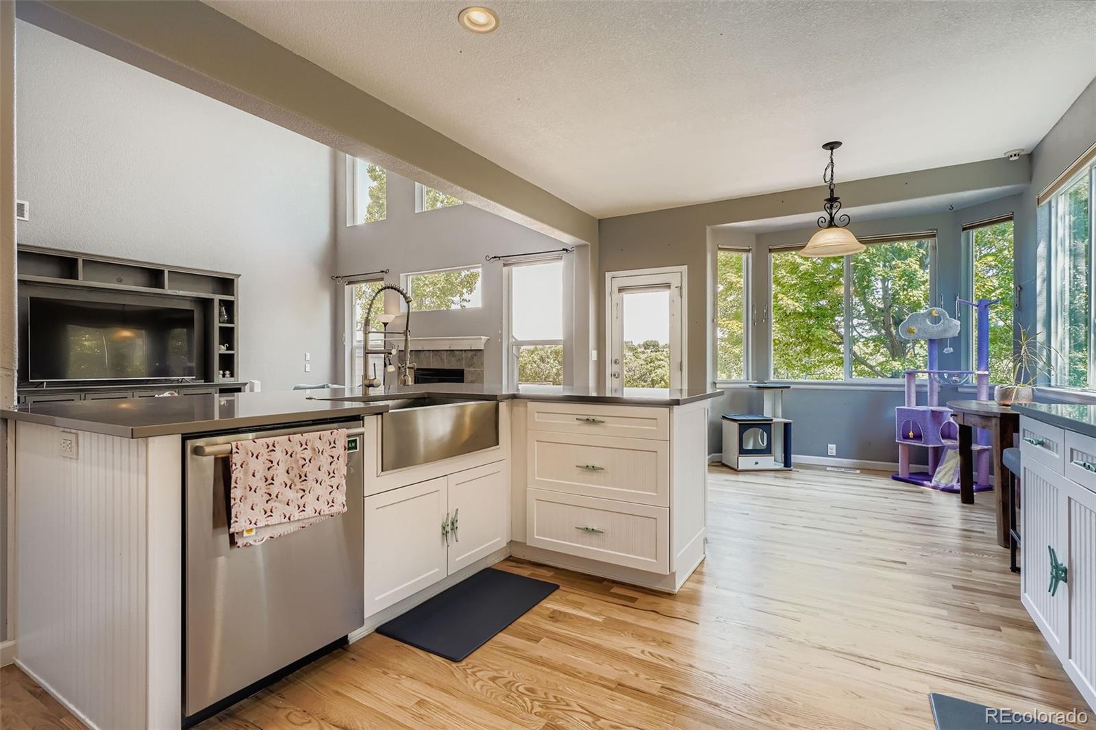 MLS Image #7 for 22675 e river chase way,parker, Colorado