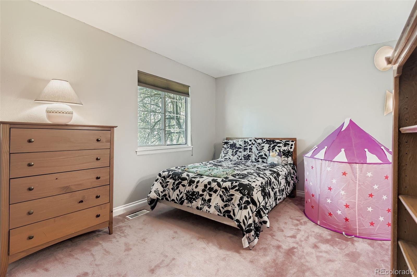 MLS Image #20 for 781 e nichols drive,littleton, Colorado
