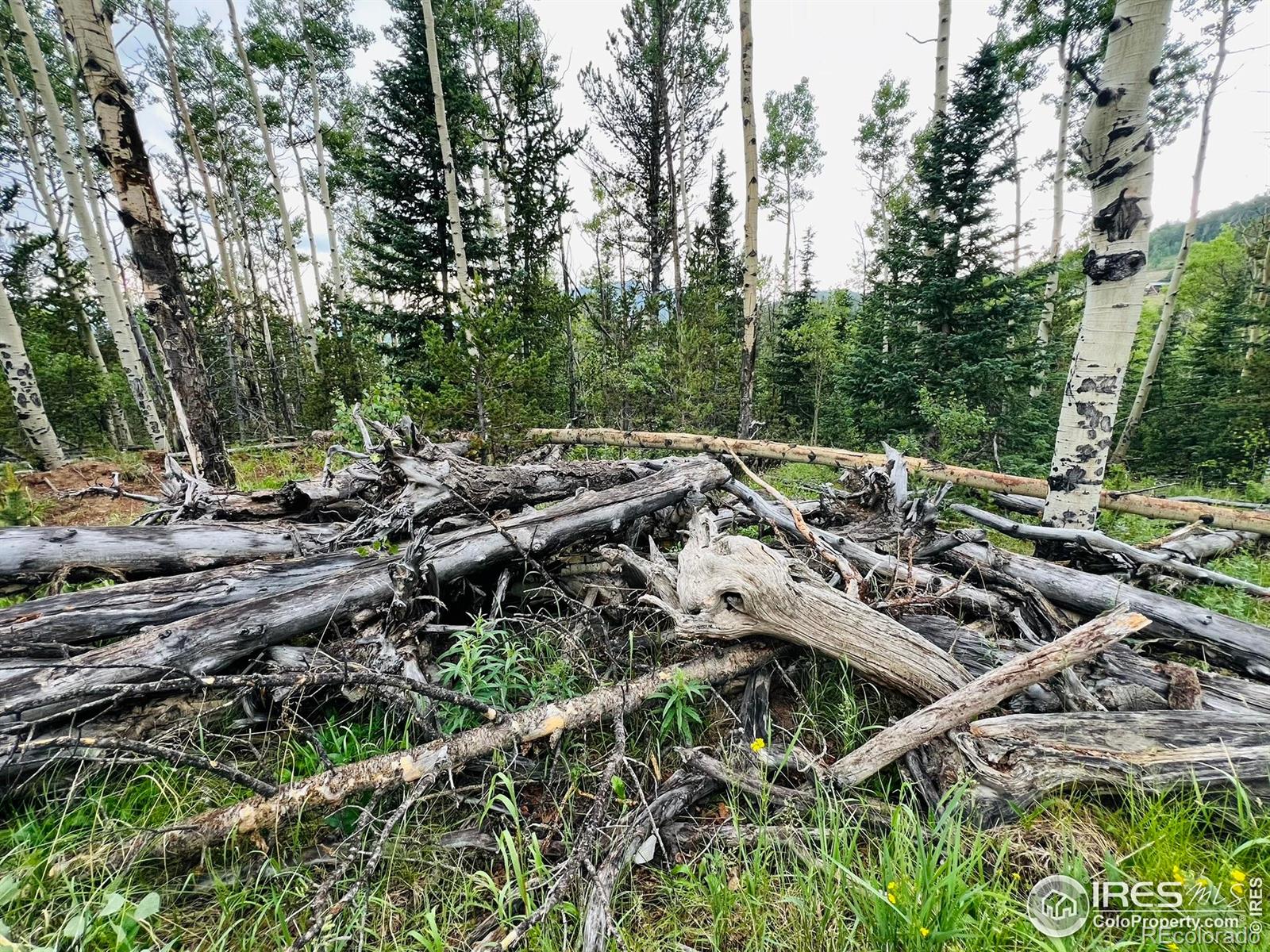 MLS Image #28 for 7643  county road 8 ,victor, Colorado