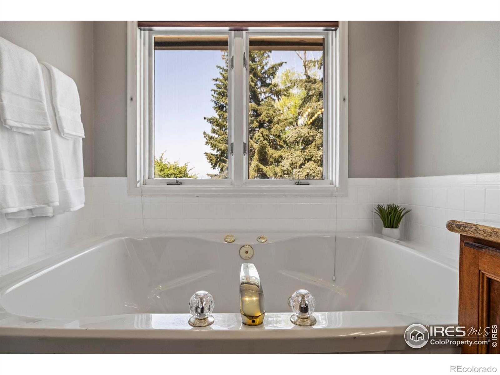 MLS Image #14 for 8633  golden fields lane,loveland, Colorado