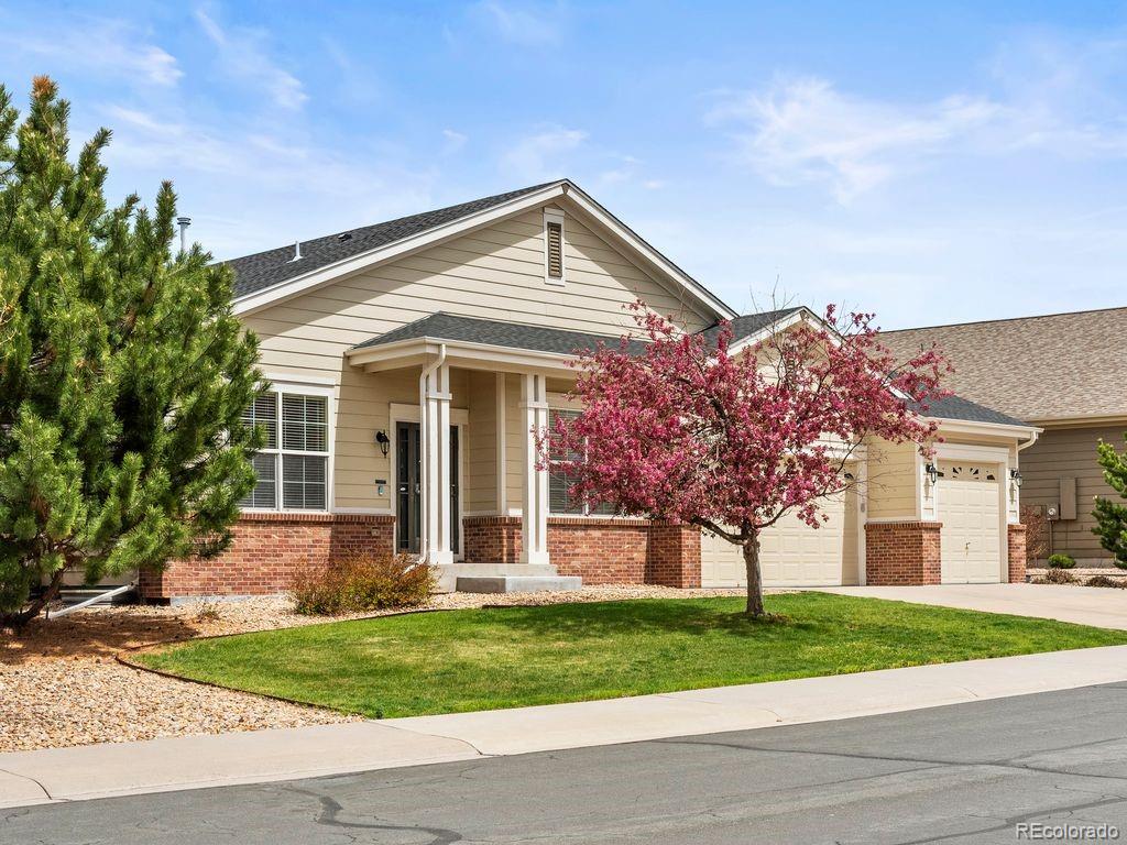 CMA Image for 7108  Sapphire Pointe Boulevard,Castle Rock, Colorado